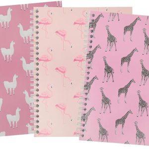 A5 ruled notebook, 160 pages, 3 pack
